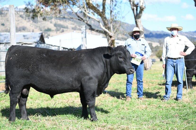 Buyer Peter Cook, Coolah with Pentire Rome R22PV sold for $22,000 and vendor Justin Richards, Pentire stud, Goorangoola. Photo supplied.
