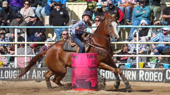 Mj Mapp competes in the barrel competition at the Goulburn Rodeo in 2023. Picture Amy Mciilrick 
