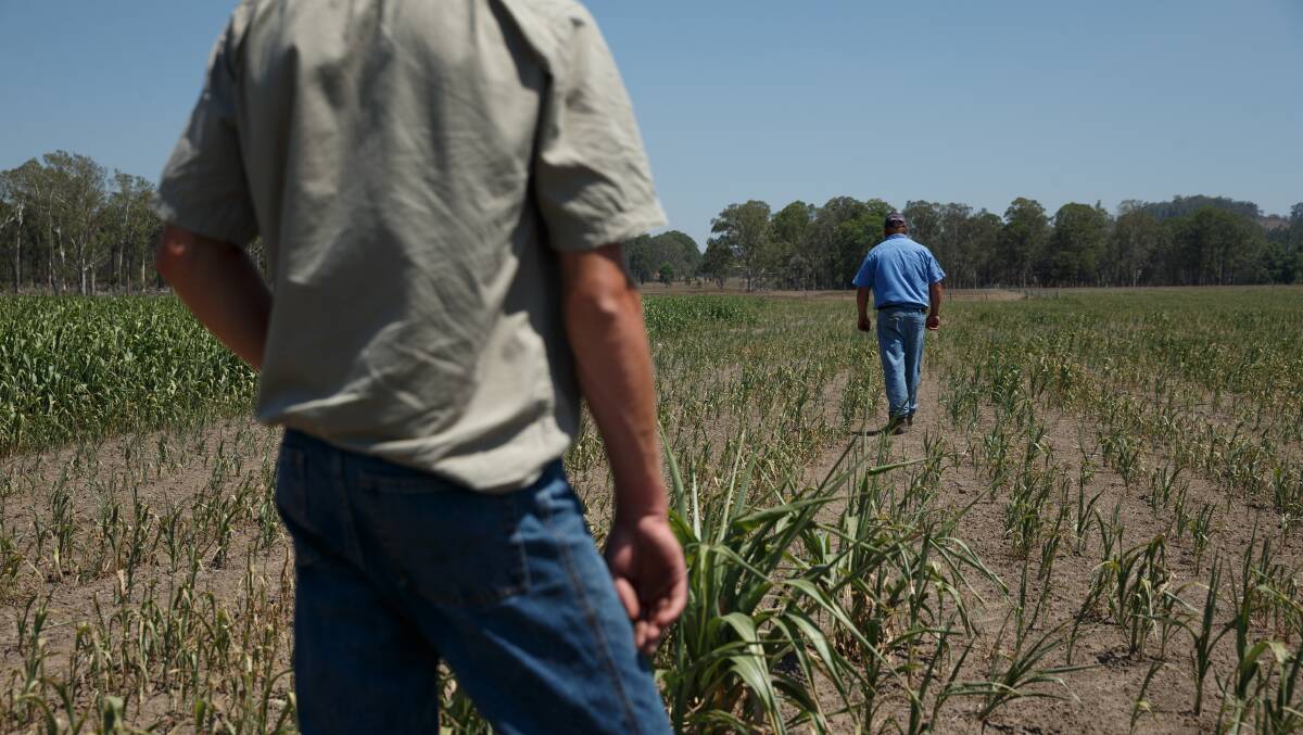 RISK: The agricultural industry accounts for 17 per cent of workplace fatalities in Australia according to HNE Health. 