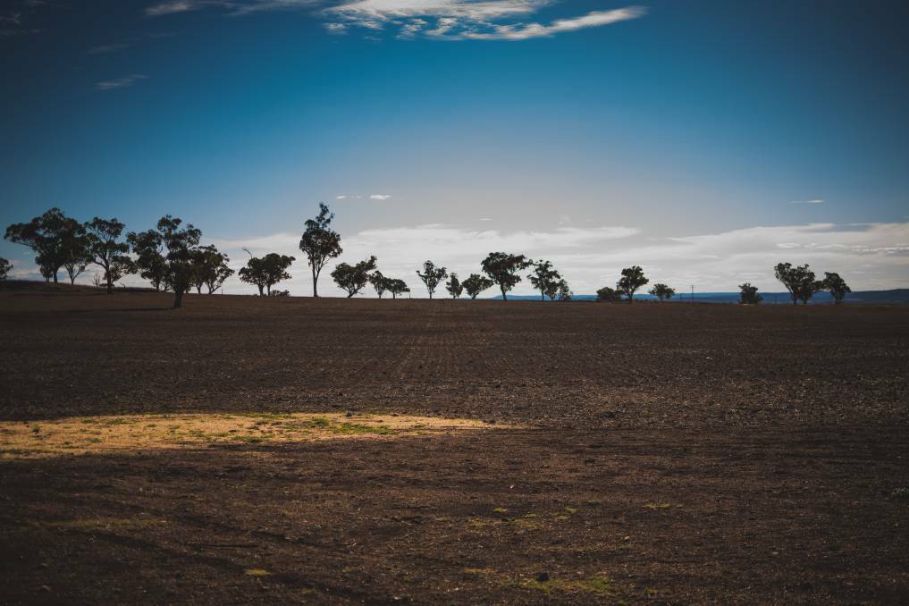 DROUGHT: A paddock in the Upper Hunter. Picture: Simon McCarthy