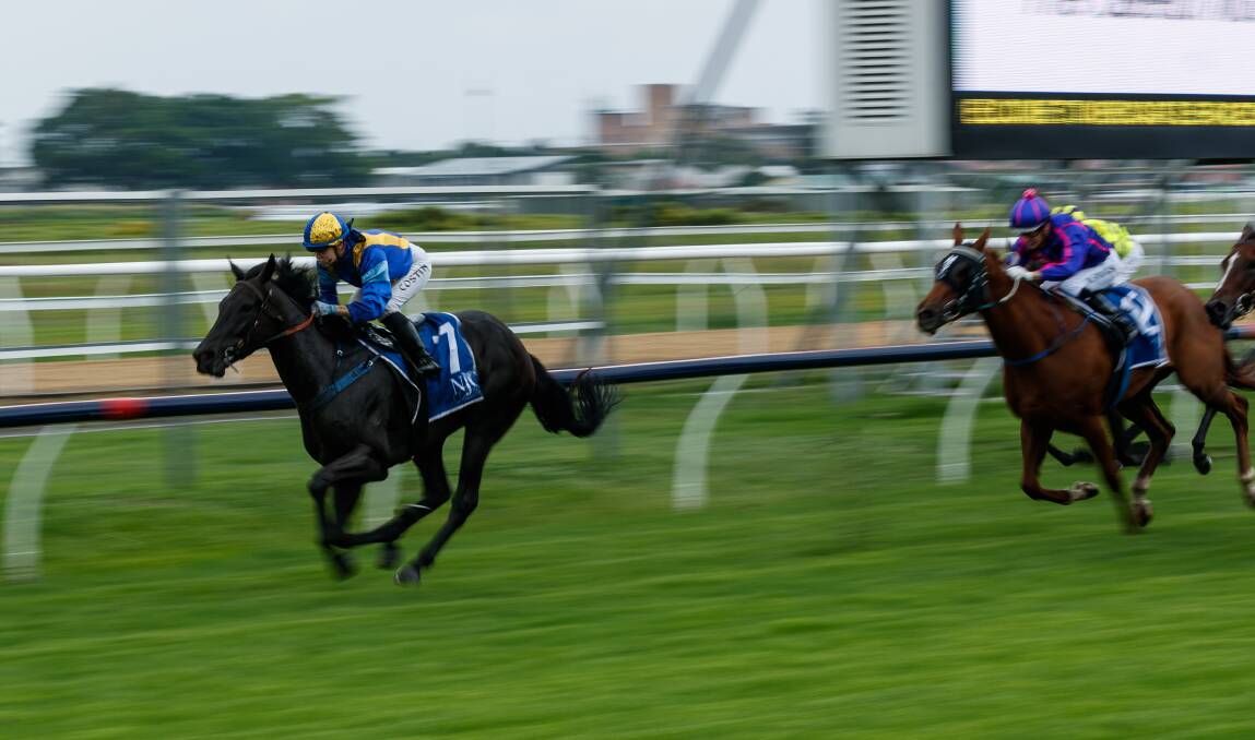 Fearless Thinking, ridden by Winona Costin, wins at Newcastle on Monday. Picture by Max Mason-Hubers