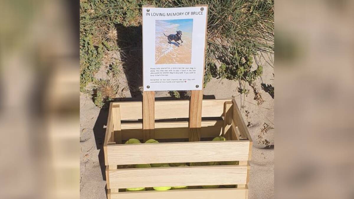 A heartfelt tribute at Silver Sands beach is reminding dog owners to enjoy plenty of quality time with their pets. Photo: Karen Mercer/Supplied.