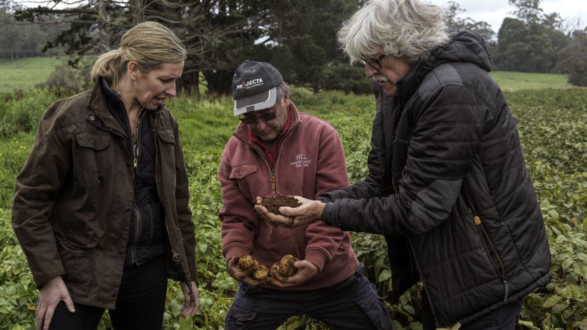 Clare Smyth sources the potatoes for Oncore from Hill Family Farming in Robertson. Picture supplied 