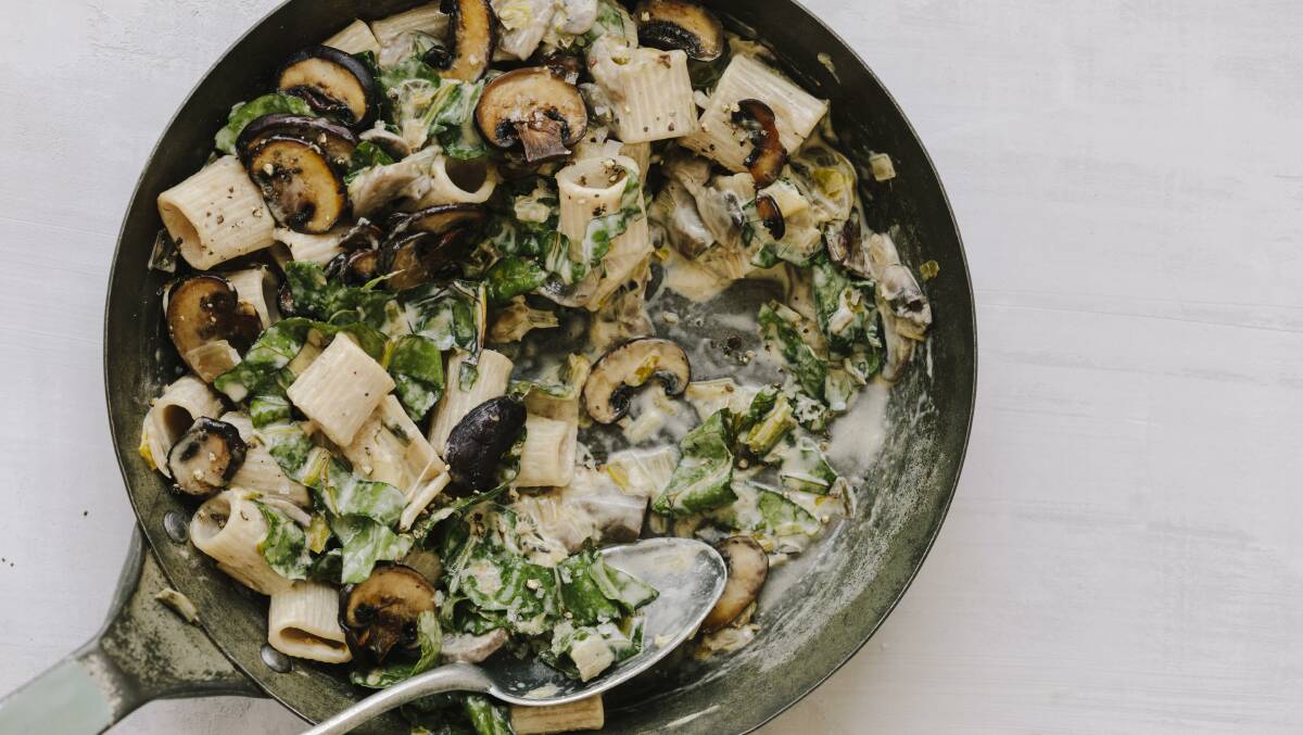 Quick creamy mushroom pasta. Picture: Maria Bell