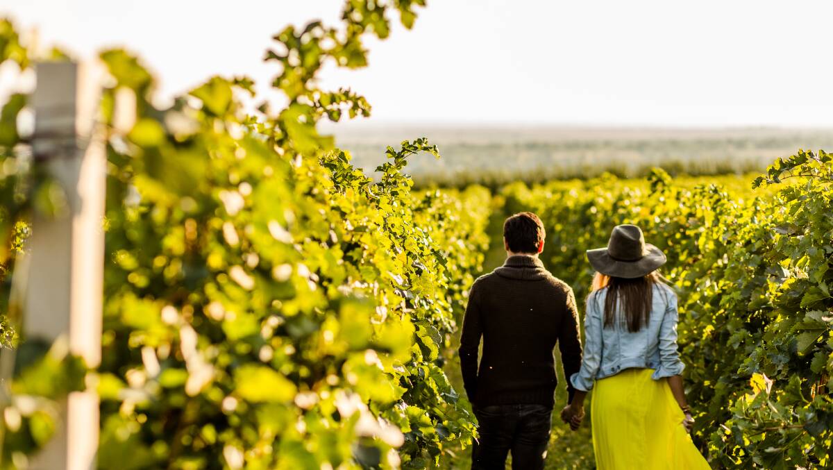 Whether you're super-serious about wine or you just like to have a drink every now and then, visiting a winery is meant to be enjoyable. Picture Shutterstock