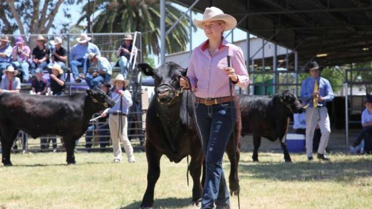 Largest beef cattle youth event of its kind