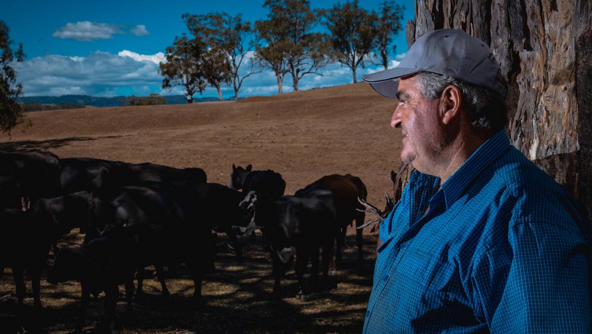 THEN: Upper Hunter cattle farmer Craig Murphy on his property in February last year. Mr Murphy said recent rains had revived his barren paddocks. Picture: Simon McCarthy