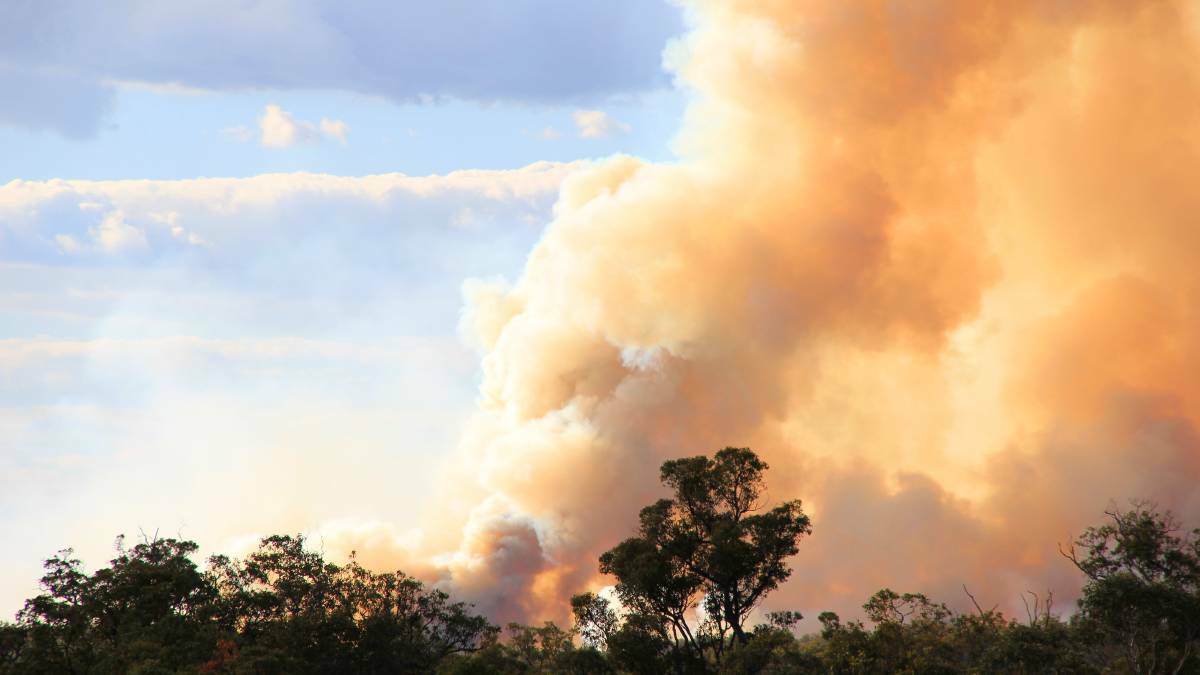 Getting on track with bushfire preparation