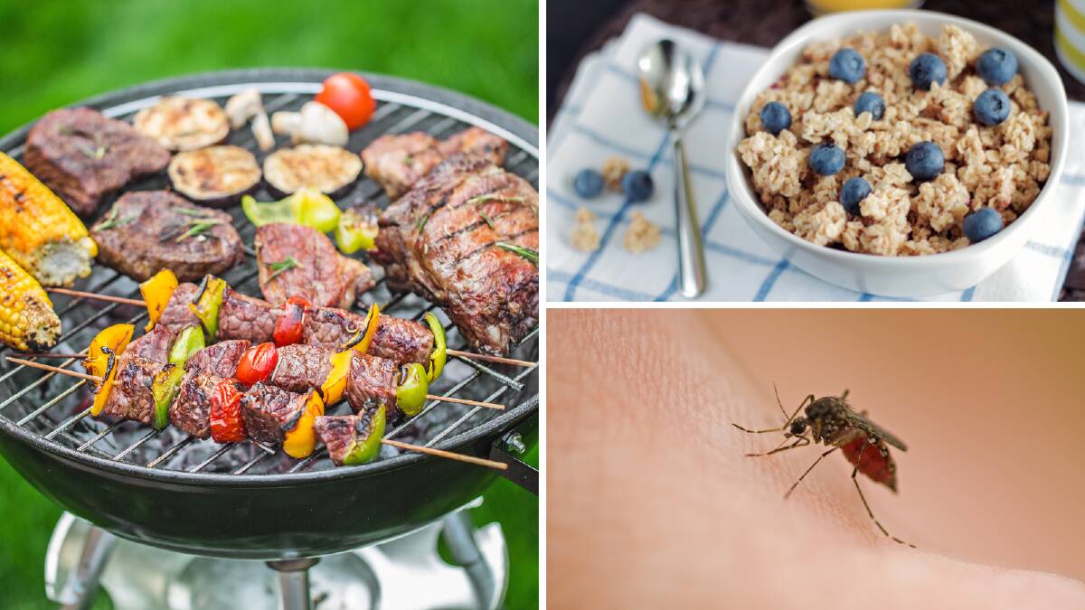 No that's not a barbecue, breakfast and a mosquito. It's actually a barbie, brekkie, and a mozzie. File picture