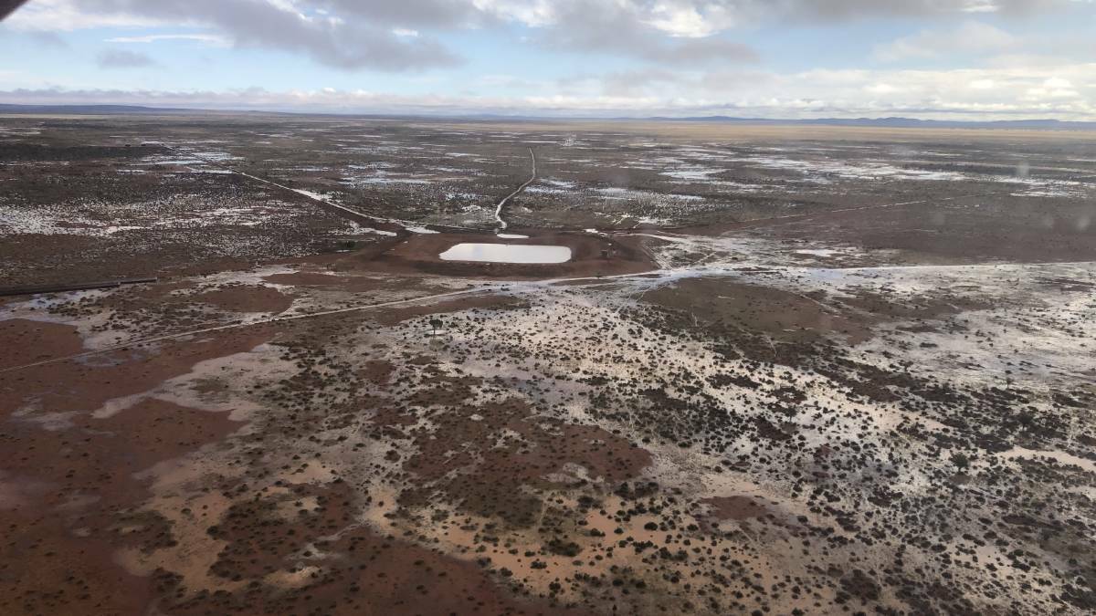  Water over paddocks about 100km north-east of Broken Hill. Photos taken by Matt Jackson, Tirlta.