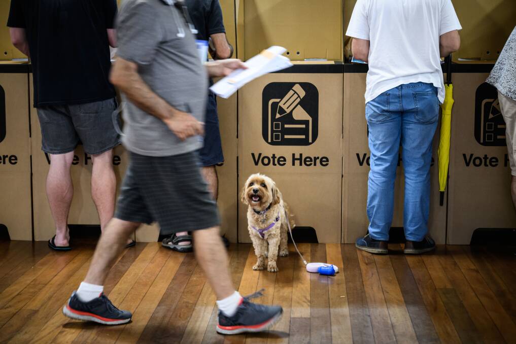 A dog watches on as people vote on NSW state election day, March 25. Picture by AAP Image/James Gourley