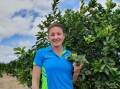 Mutchilba lime and mango farmer Karen Muccignat says farmers cannot compete with the Mexican lime import to Australia. Photo supplied.