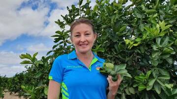 Mutchilba lime and mango farmer Karen Muccignat says farmers cannot compete with the Mexican lime import to Australia. Photo supplied.