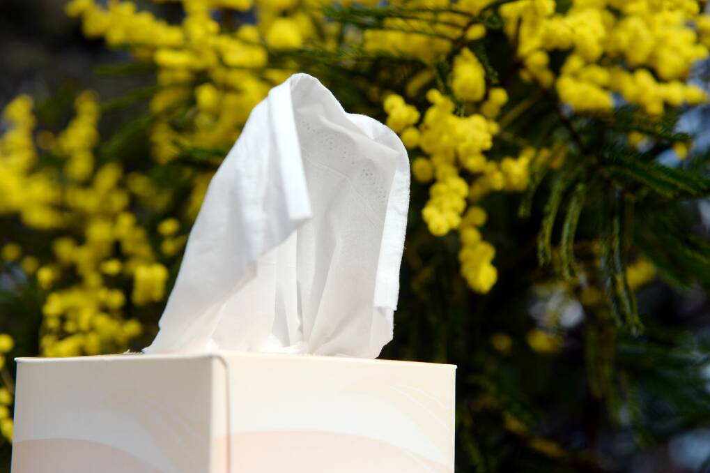 Hayfever season is in full swing but people who experience long-COVID or complications with COVID-19 are urged to be alert to thunderstorm asthma risks this spring. Picture by Kate Healy