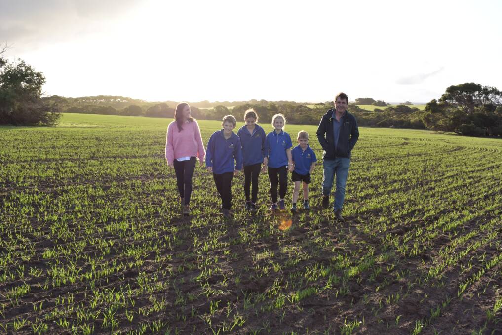 CROP WALK: Lucy and Steve Morgan (far right), and their kids Oscar, Grace, Magellen and Thomas, check out their oats at Vivonne Bay. Photo: Stan Gorton 