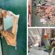 'Heartbreaking': primary school canteen trashed in break-in