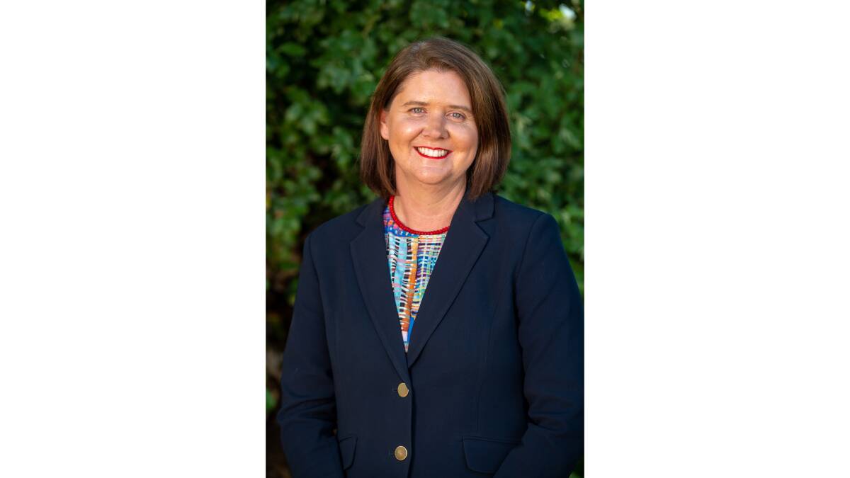 Liz Ritchie is the chief executive of the Regional Australia Institute. Picture supplied