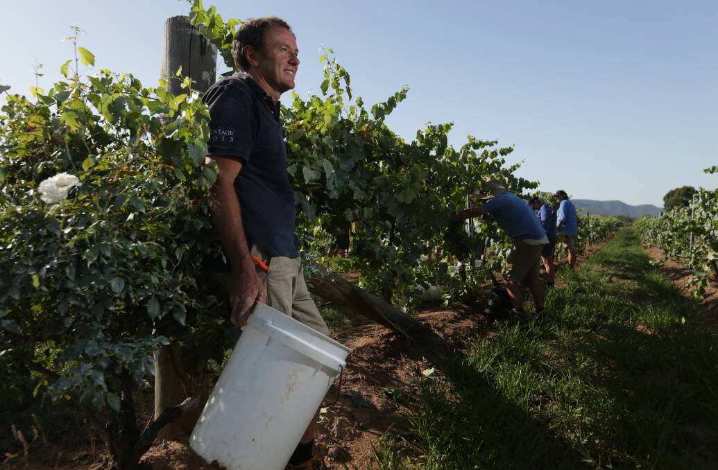 Looking forward: Andrew Margan of Margan Wines said Brexit could mean advantages for Australian winemakers. Picture: Simone De Peak