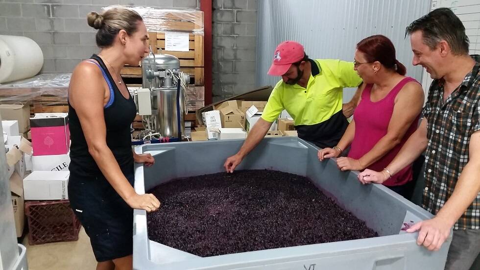 FINE WINES: Emma Williams (left) has been learning in reverse after the Hollydene Estate business manager recently jointed a viticulture TAFE course.