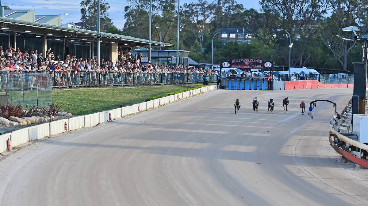 Gosford's new event will be known as the Ladbrokes Summer Six-Hundy. Picture supplied