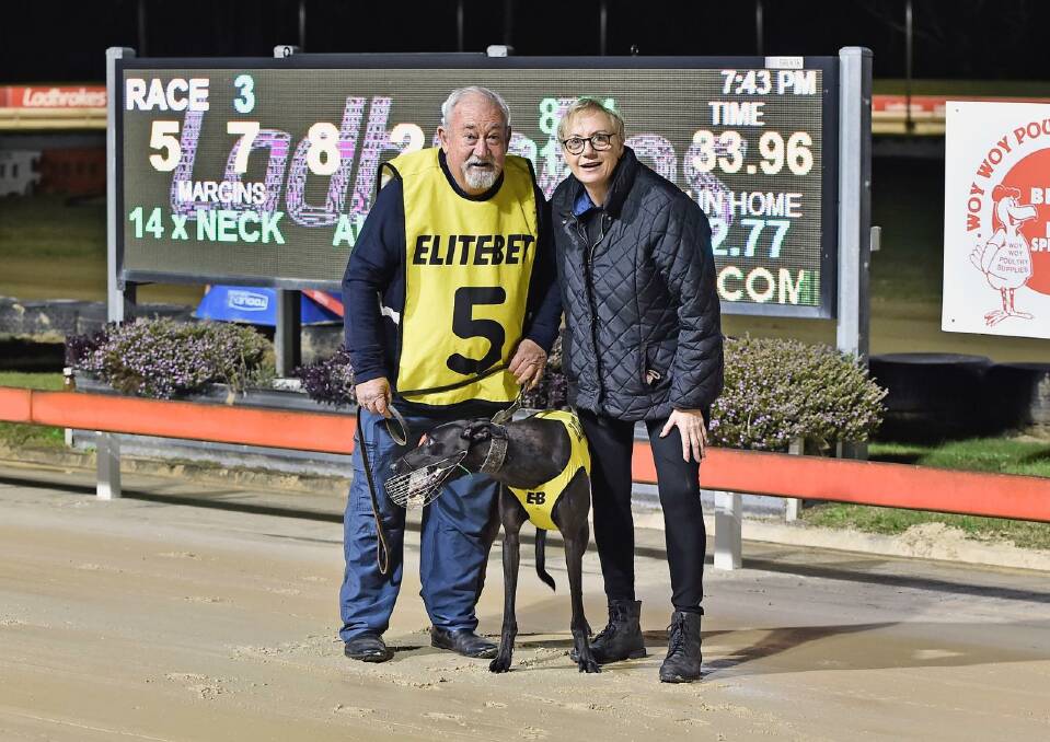Like Wildfire broke the Gosford 603m track record with a 33.96s on Tuesday May 23. Picture supplied