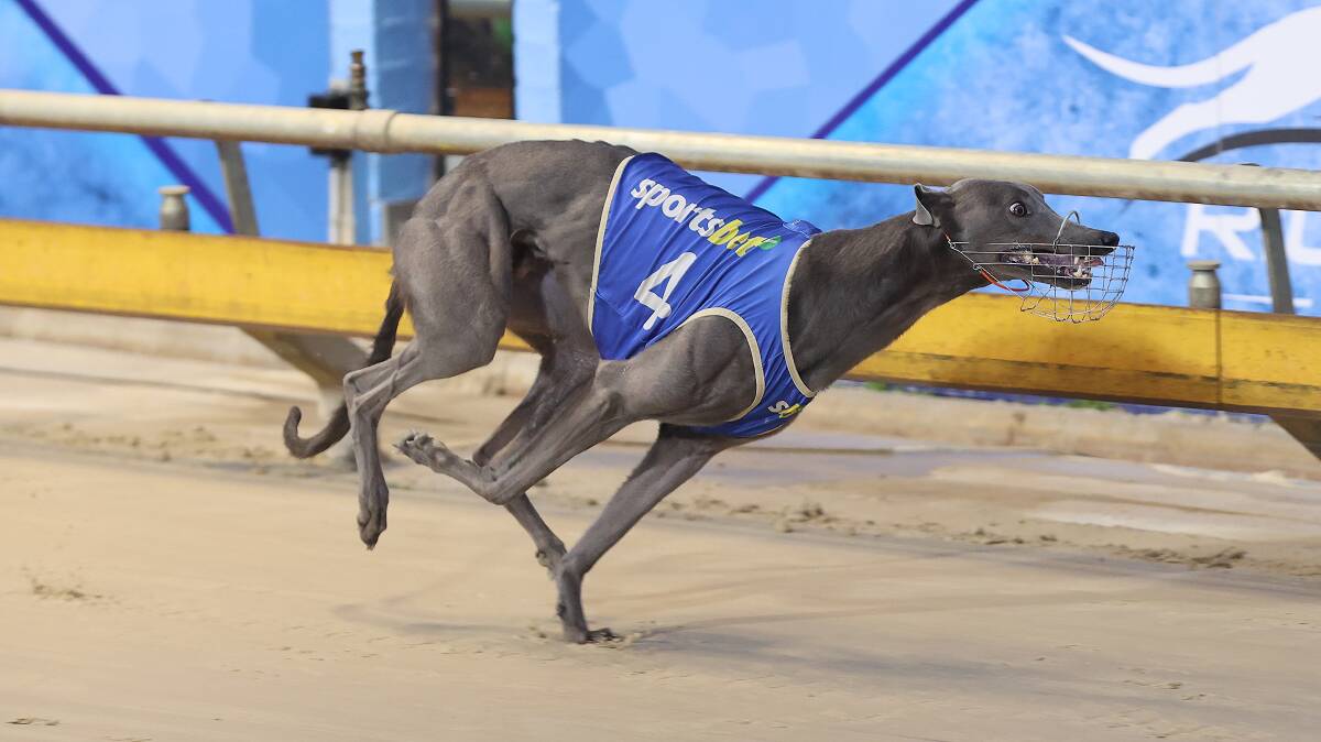 Sicario Beast winning at Richmond in record time. Picture supplied