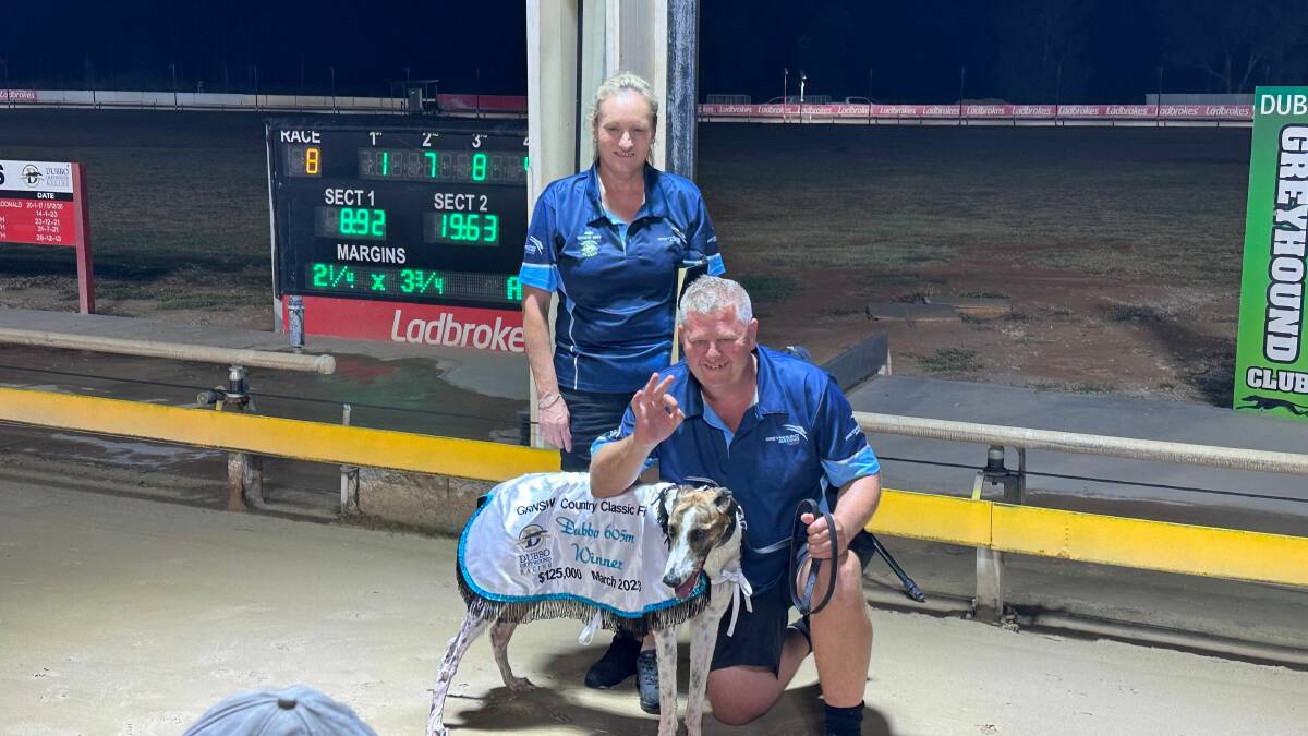 Showman Jack won the 2023 Country Classic in Dubbo. Picture supplied