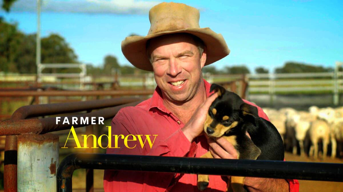 Andrew is one of five farmers looking for love in the new series. Picture supplied