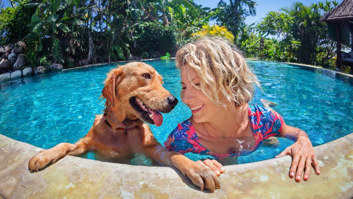 Nearly three quarters of Australian pet owners (70 per cent) said they would prefer to travel with their pet, rather than their partner or mate.