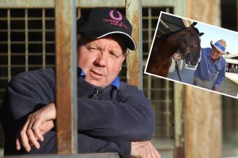 'I got it right today Gerry': Trainer books both tickets to $1million feature