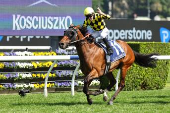 'Bigger races' on the agenda after country Kosciuszko crown returns to Hunter Valley