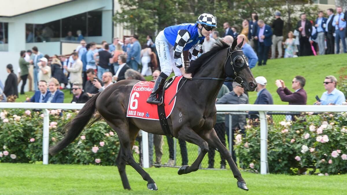 Gold Trip will carry the top weight. Picture Getty Images