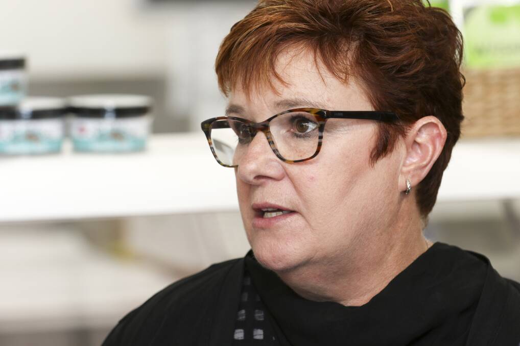 Labor Senator for Tasmania Anne Urquhart. Picture: File