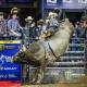 Cody Heffernan on board Cattle King Boogers Beach at the nail-biting grand final back in November in Townsville where he was crowned Australian Bull Riding Champion. Photo from PBR (Professional Bull Riders)