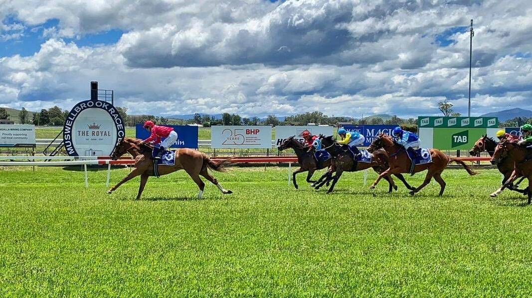 Jockey Aaron Bullock bringing home Mauricette Raine & Horne at the Muswellbrook Country Booster Maiden Cup. Picture Muswellbrook Race Club.
