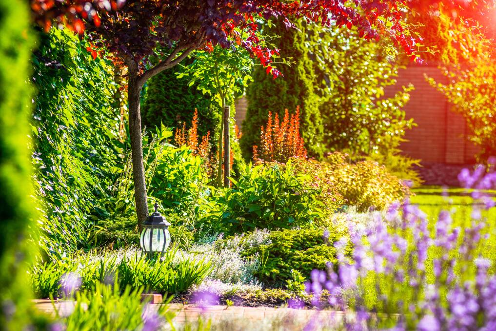 Gardens provide us with opportunities to express our creativity, nurture our spirit and nourish our bodies. Picture from Shutterstock.