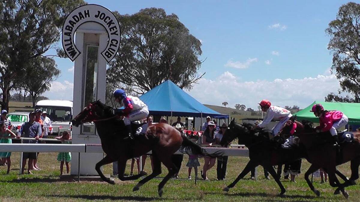Winners: It's the race that stops the region and sees the local community come together to celebrate country racing.