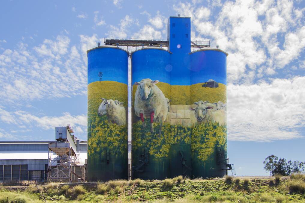 A sight to behold: The Grain Silos in Merriwa have taken on a sheepish new look with red-socked sheep turning heads.