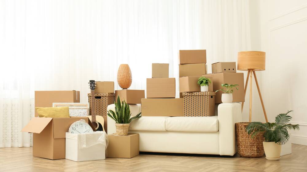 Flying the coop: The essentials you need when moving out for the first time 