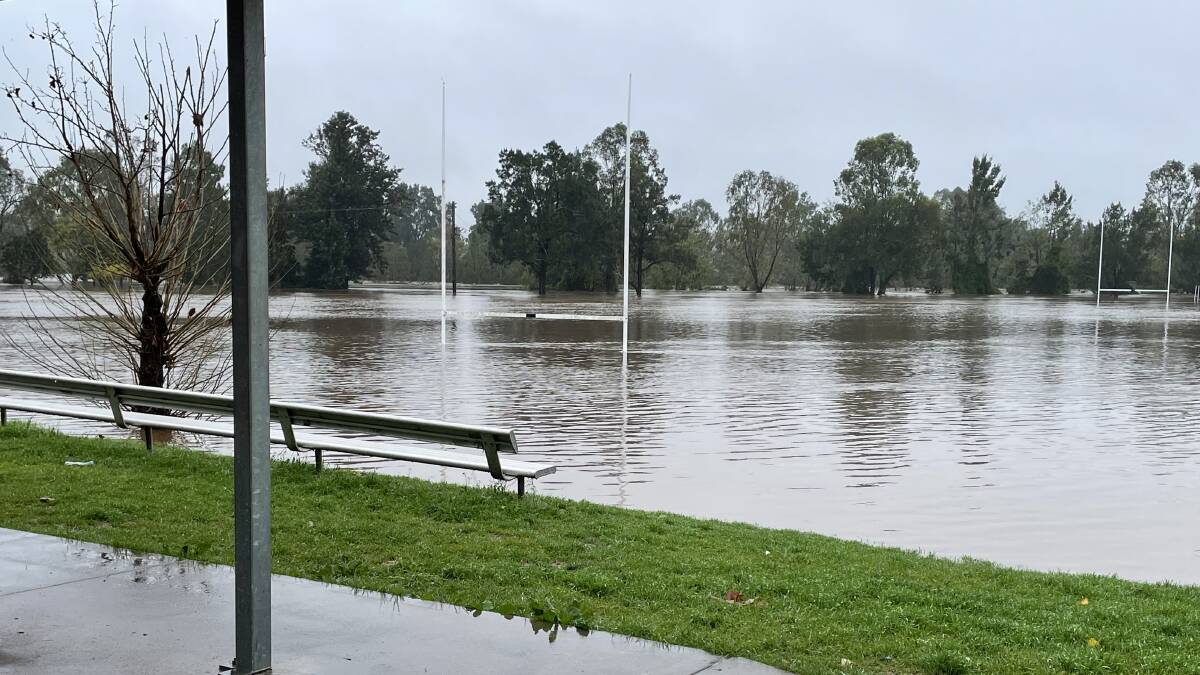 Cook Park, Singleton under water about 9am on Wednesday, July 6.