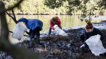 Volunteers cleaning up mangroves. The NSW EPA has $11.2 million in grants available to council's, businesses and groups needing funding to clean up their communities. 