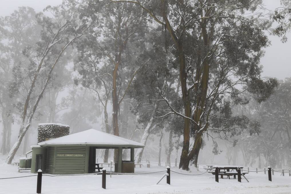 CHILLY: Polblue campground and picnic area in the Barrington Tops following a heavy dumping of snow, 5cm to 10cm, in July 2021. Pictures: Ellie-Marie Watts