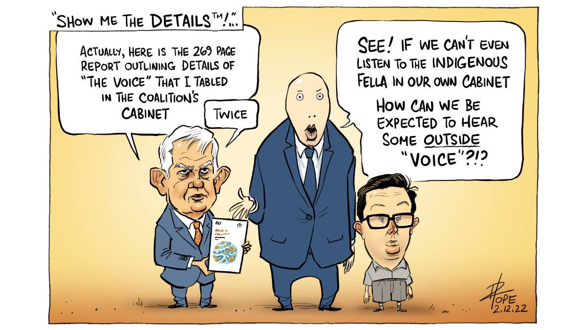 David Pope's editorial cartoon for The Canberra Times for Friday, December 2, 2022.
