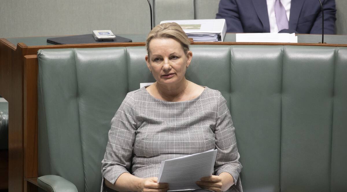 Environment Minister Sussan Ley. Picture: Sitthixay Ditthavong