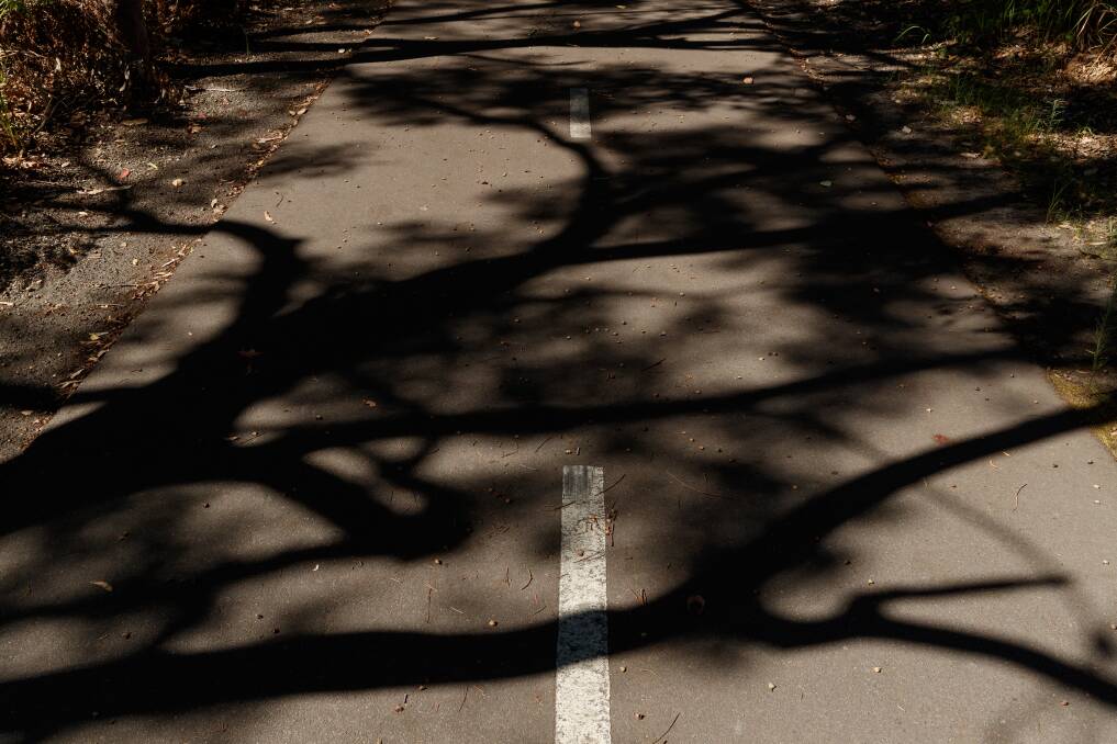 Shadows on the track. Picture: Max Mason-Hubers 