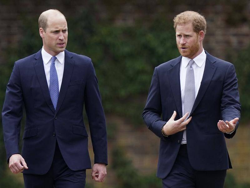 Prince Harry says he and his brother William had begged their father not to marry Camilla. (AP PHOTO)