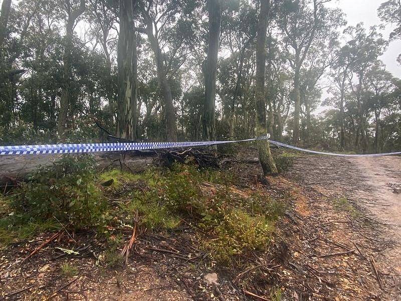 The search for the remains of Russell Hill and Carol Clay continues in Victoria's alpine region.