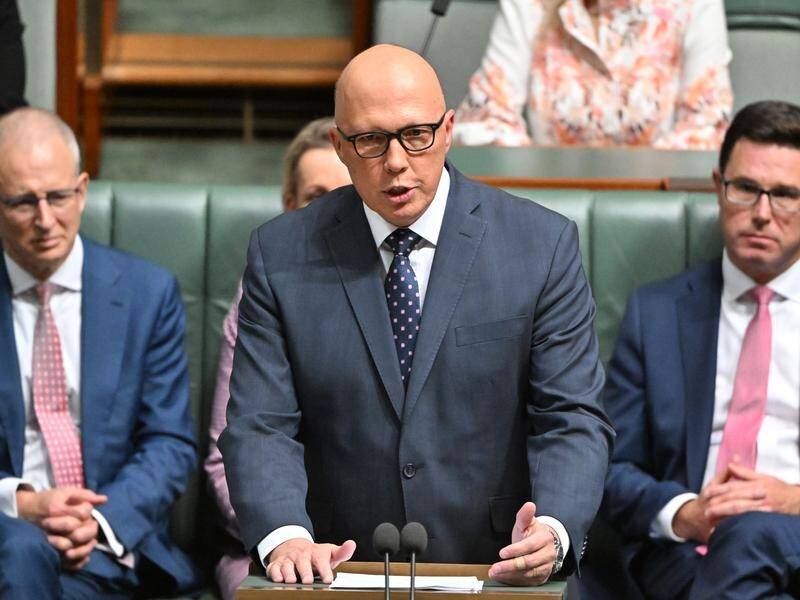 Opposition Leader Peter Dutton says the federal budget "hurts working Australians". (Mick Tsikas/AAP PHOTOS)
