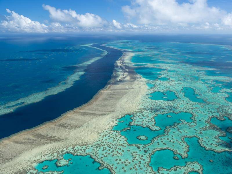 UN report takes Australia to task over climate change, poor water quality at the Great Barrier Reef. (AP PHOTO)