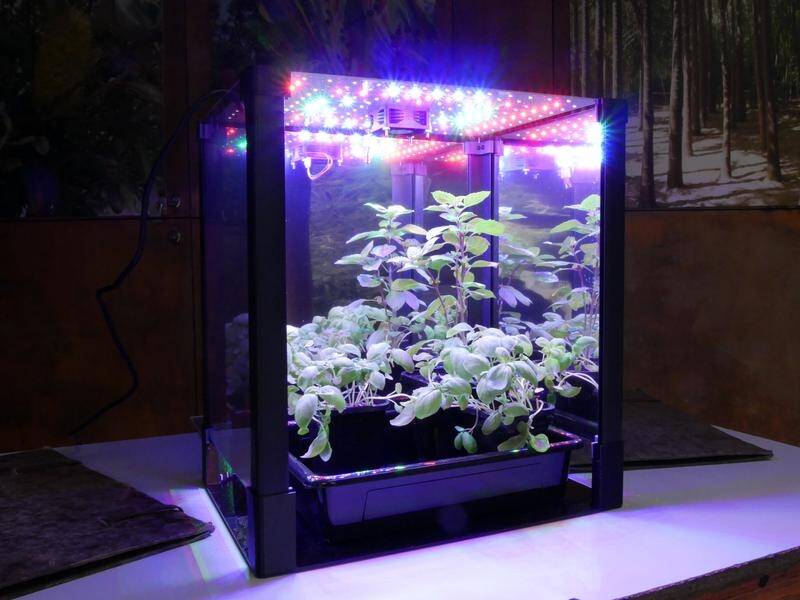 This specially designed growth chamber is being used to grow Australian bush foods for space. (PR HANDOUT IMAGE PHOTO)